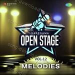 Open Stage Melodies - Vol 12 - Samarth Arya Song Download